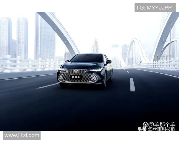 南京网球队在洲际杯积分榜上以86分稳居第一名展现强劲实力